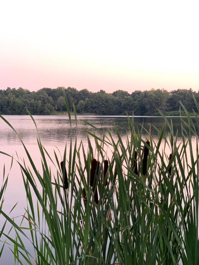 Ferienhaus Seeblick Am Harkebruegger See Mit Sauna Und Kamin Barssel  Extérieur photo